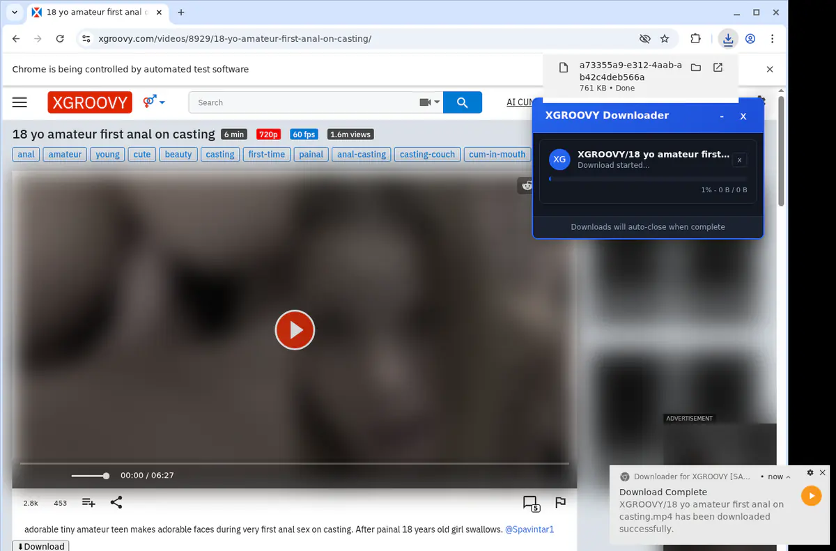 XGroovy Video Downloader browser extension screenshot 2