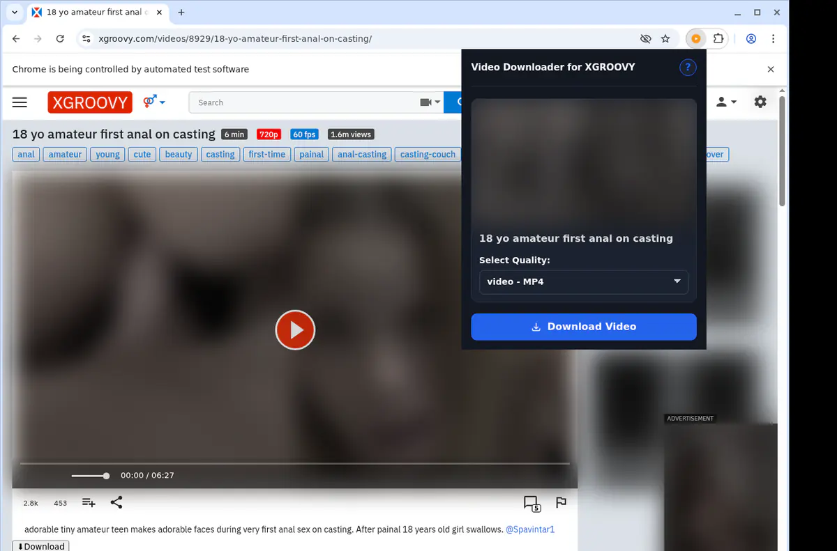 XGroovy Video Downloader browser extension screenshot 3