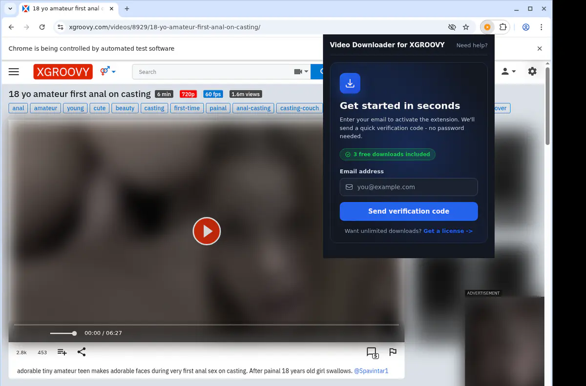 XGroovy Video Downloader browser extension screenshot 5